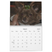Chihuahua Kalender (Mär 2027)