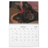 Chihuahua Kalender (Feb 2026)