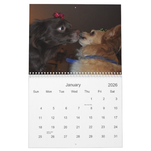 Chihuahua Kalender (Jan 2026)