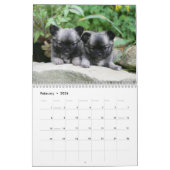 Chihuahua Kalender (Feb 2026)