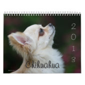 Chihuahua Kalender (Titelbild)
