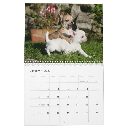 Chihuahua Kalender (Jan 2027)