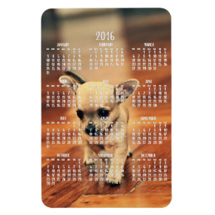 Chihuahua-Kalender 2016 Foto-Magnet 4x6 groß Magnet