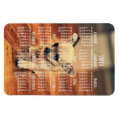 Chihuahua Kalender 2018 Foto Magnet 4x6 Groß (Horizontal)