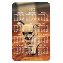 Chihuahua Kalender 2018 Foto Magnet 4x6 Groß