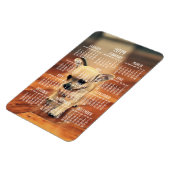 Chihuahua Kalender 2019 Foto Magnet 4x6 Groß (Linke Seite)