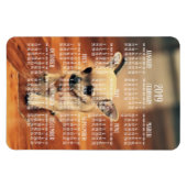 Chihuahua Kalender 2019 Foto Magnet 4x6 Groß (Horizontal)