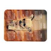 Chihuahua Kalender 2020 Foto Magnet 3x4 Klein (Horizontal)
