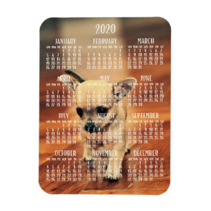Chihuahua Kalender 2020 Foto Magnet 3x4 Klein