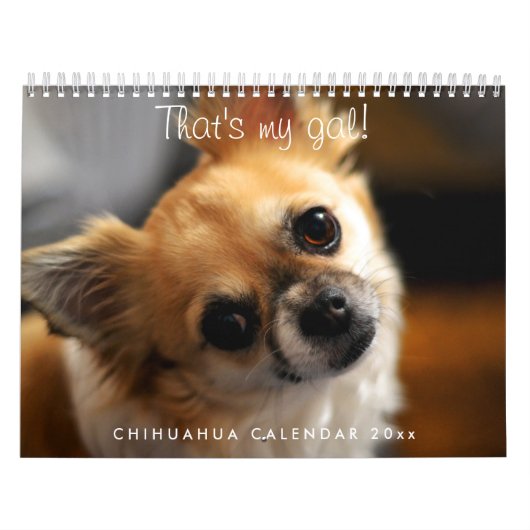 Chihuahua Kalender 2023 Das ist mein Gal (Titelbild)