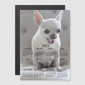 Chihuahua Kalender 2023 Magnetfotokarte Magnetkarte (Vorne/Hinten)