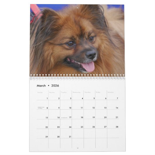 Chihuahua-Kalender 2025 Kalender (Mär 2026)