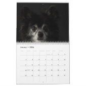 Chihuahua-Kalender 2025 Kalender (Jan 2026)