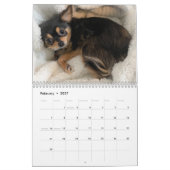 Chihuahua-Kalender 2025 Kalender (Feb 2027)