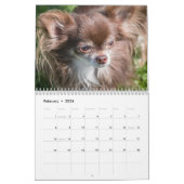 Chihuahua-Kalender 2025 Kalender (Feb 2026)