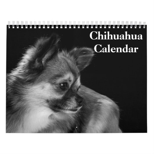 Chihuahua-Kalender 2025 Kalender (Titelbild)