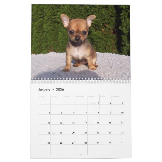 Chihuahua-Kalender 2026 Behalt von Ruhe und Liebe Kalender (Jan 2026)