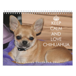 Chihuahua-Kalender 2026 Bleib ruhig und liebe  Kalender