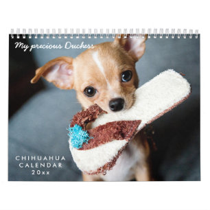 Chihuahua Kalender 2026 Fotos für Haustiere