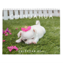 Chihuahua Kalender 2026 Fotos hinzufügen