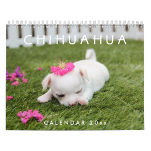 Chihuahua Kalender 2026 Fotos hinzufügen