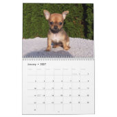 Chihuahua-Kalender 2026 Kalender (Jan 2027)