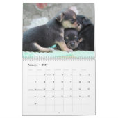 Chihuahua Kalender 2026 Liebe Ihr Chi Add Foto (Feb 2027)