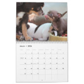 Chihuahua Kalender 2026 mit Fotos (Mär 2026)