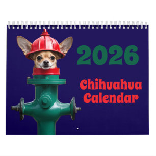 Chihuahua-Kalender Kalender