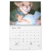 Chihuahua-Kalender! Kalender (Feb 2027)