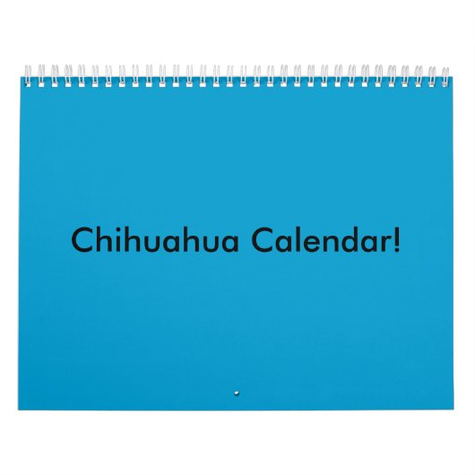 Chihuahua-Kalender! Kalender (Titelbild)