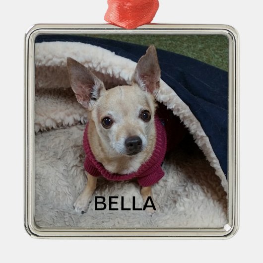 CHIHUAHUA KEEPSAKE ORNAMENT AUS METALL (Vorne)