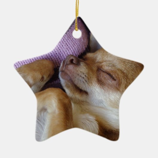 Chihuahua Keramik Ornament (Vorne)