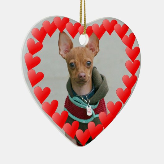 Chihuahua Keramikornament (Rechts)