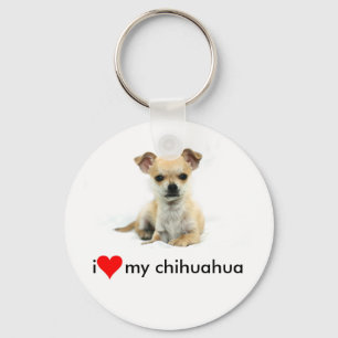 chihuahua, keychain schlüsselanhänger