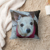 CHIHUAHUA KISSEN (Decke)