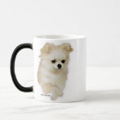 Chihuahua-Kitz-Welpen-Tasse Verwandlungstasse (Links)