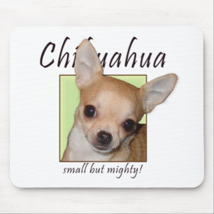 Chihuahua, klein aber mächtig mousepad
