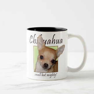 Chihuahua, klein aber mächtig zweifarbige tasse