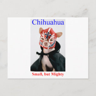 Chihuahua kleine aber mächtige Rasse Postkarte