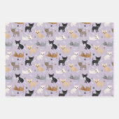 Chihuahua Knochen und Paws Grau Blau Lila Geschenkpapier Set (Vorderseite 3)