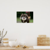 Chihuahua-Kopfschuss 1 Poster (Küche)