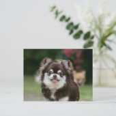 Chihuahua-Kopfschuss 1 Postkarte (Stehend Vorderseite)