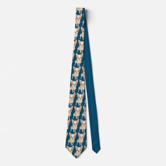 Chihuahua Krawatte (Vorderseite)