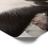 Chihuahua lächelnd Print Poster (Ecke)