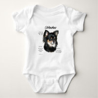 Chihuahua (lang) Geschichte Design