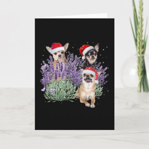 Chihuahua Lavender Blume Weihnachts-Shirt Chihuahu Karte