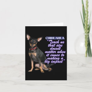 Chihuahua lehrt uns diese Größe Doents, wenn es ko Karte
