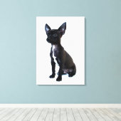 Chihuahua Leinwanddruck (Insitu (Holzboden))