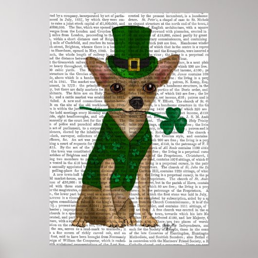 Chihuahua Leprechaun Poster (Vorne)